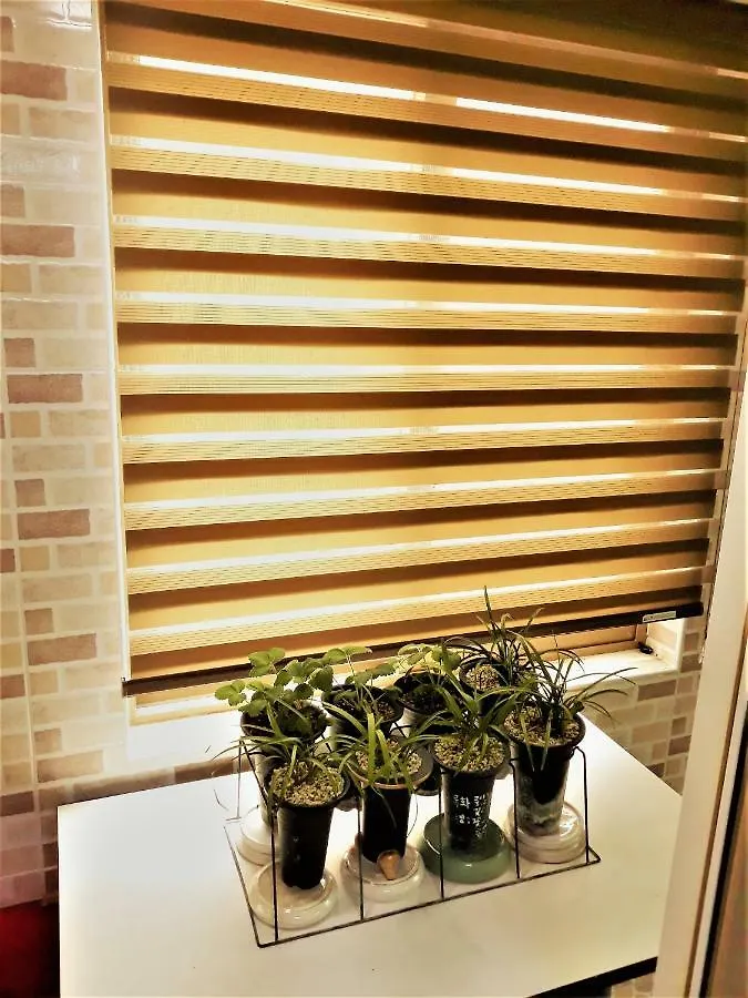 Work Life Balance Busan Station Guest house